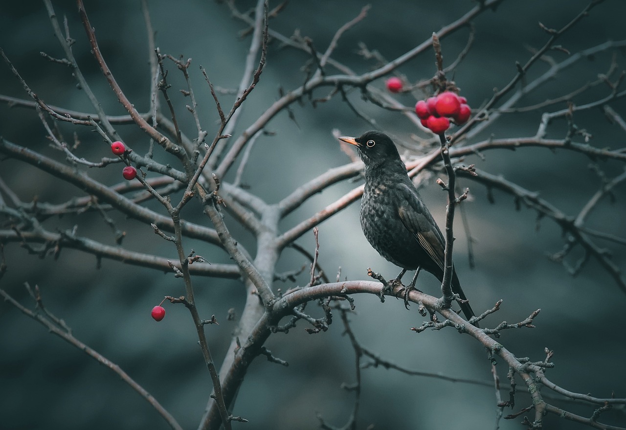 - 《中福在线：邂逅幸运，畅享精彩时光》